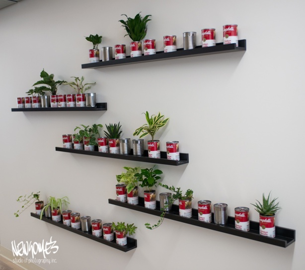 The Campbells Wall for Tiny Plants. Employees plant their own.